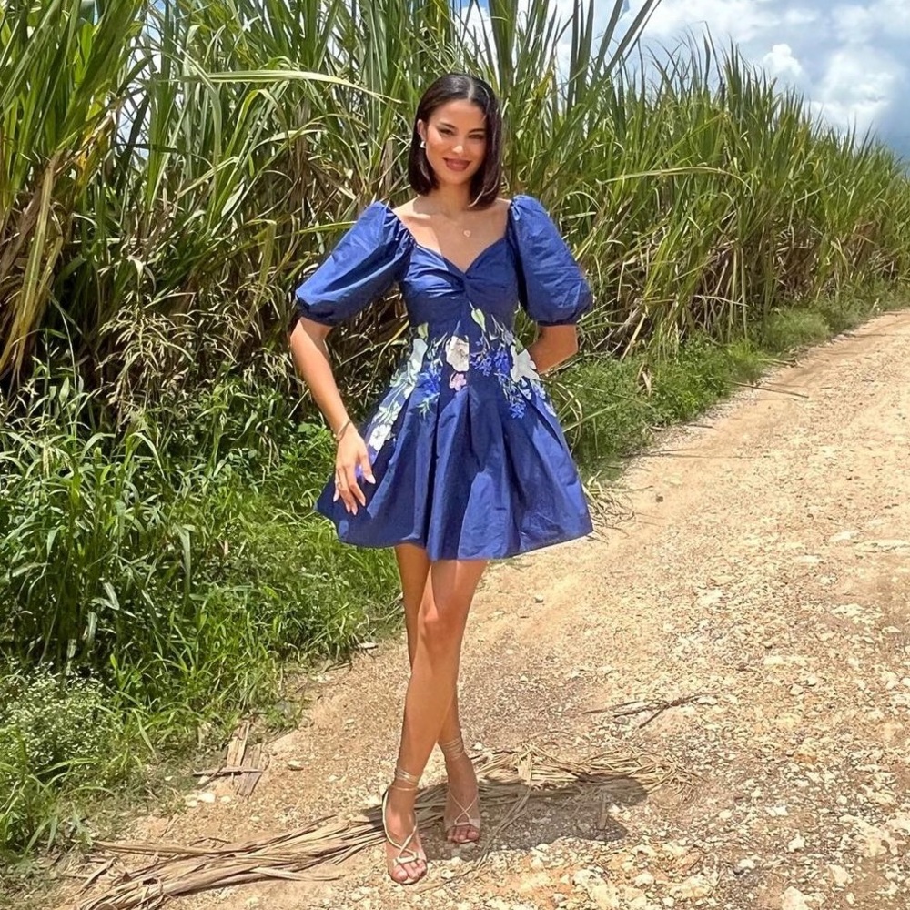 Floral Twist Front Puff Sleeve Pleated Blue Floral Detail Mini Dress Large